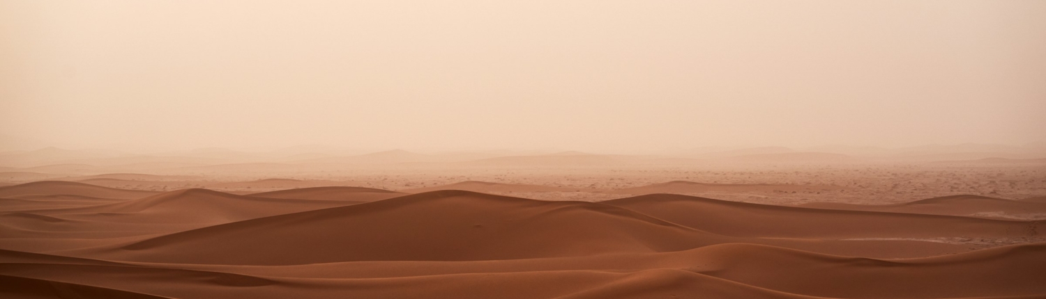 Paastuaja 1. pühapäeva mõtisklus