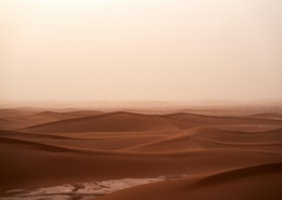 Paastuaja 1. pühapäeva mõtisklus