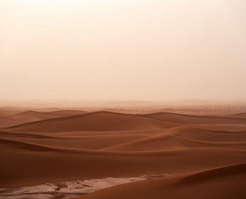 Paastuaja 1. pühapäeva mõtisklus