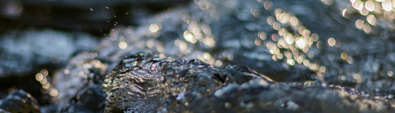 Isa Wodeki mõtisklus paastuaja 3. pühapäevaks