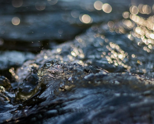 Isa Wodeki mõtisklus paastuaja 3. pühapäevaks